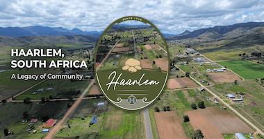Haarlem Hart Logo